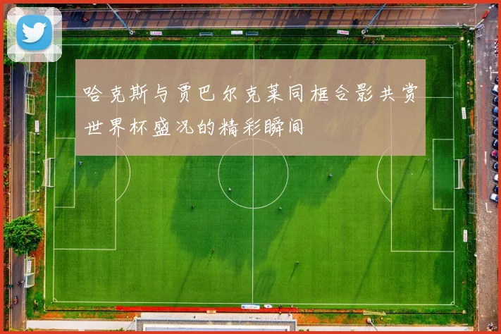 哈克斯与贾巴尔克莱同框合影共赏世界杯盛况的精彩瞬间