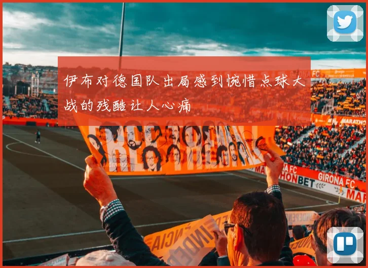 伊布对德国队出局感到惋惜点球大战的残酷让人心痛